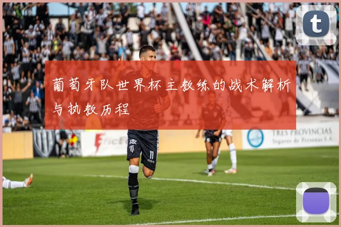 葡萄牙队世界杯主教练的战术解析与执教历程
